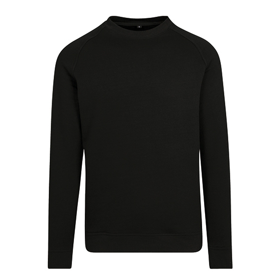 Raglan Sweat Crewneck