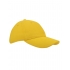 Heavy Brushed Cap