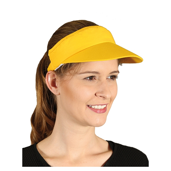 Sunvisor