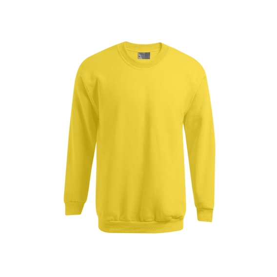 New Men`s Sweater 100