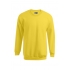 New Men`s Sweater 100