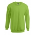 New Men`s Sweater 100