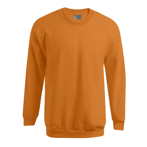New Men`s Sweater 100