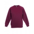 Kids Premium Raglan Sweat