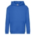 Kids Premium Hooded Sweat