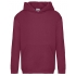 Kids Premium Hooded Sweat
