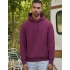 Premium Hooded Sweat