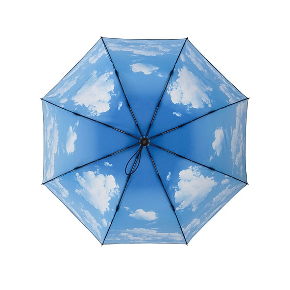AC-Mini-Umbrella FARE®-Nature