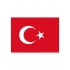 Flag Turkey