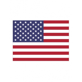 flag USA