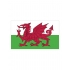 Flag Wales