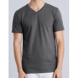 Premium Cotton® V-Neck T-Shirt