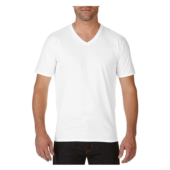 Premium Cotton® V-Neck T-Shirt