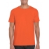 Softstyle® T- Shirt
