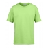 Softstyle® Youth T-Shirt