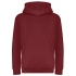 Kids Organic Hoodie