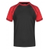 Men`s Raglan-T