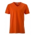 Men`s Slim Fit V-T