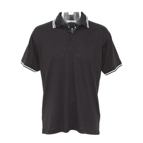 Classic Fit Tipped Collar Polo