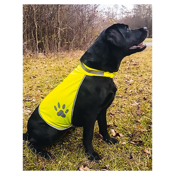 Safety Vest for Dogs