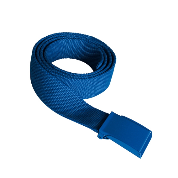 Polyester Belt