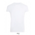 Magma Men Tee-Shirt