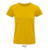 Pioneer Women T-Shirt