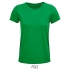Crusader Women T-Shirt