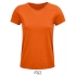 Crusader Women T-Shirt