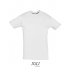 Regent T-Shirt 150