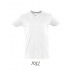 Short Sleeve Tee Shirt Master