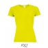 Women`s Raglan Sleeves T Sporty