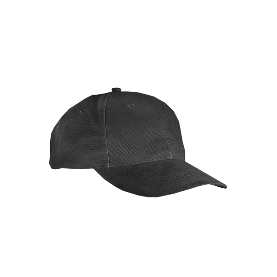 6-Panel Cap low profile