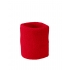 Terry Wristband