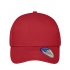 6 Panel Mesh Cap