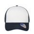 6 Panel Mesh Cap