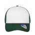 6 Panel Mesh Cap