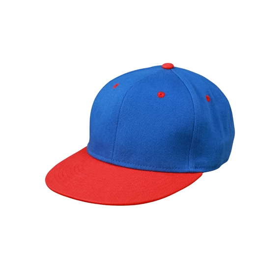 6 Panel Pro Cap