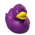 Schnabels® Squeaky Duck