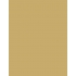 Polyneon 40 (5.000 m)