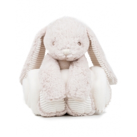 Rabbit and Blanket