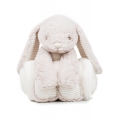 Rabbit and Blanket
