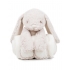 Rabbit and Blanket