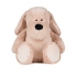 Zippie Dog