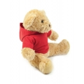 Teddy Hoodie
