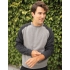 Men`s Lightweight Fitted Raglan Crew