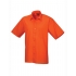 Men`s Poplin Short Sleeve Shirt
