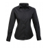 Ladies` Poplin Long Sleeve Blouse