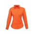 Ladies` Poplin Long Sleeve Blouse