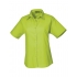 Ladies` Poplin Short Sleeve Blouse